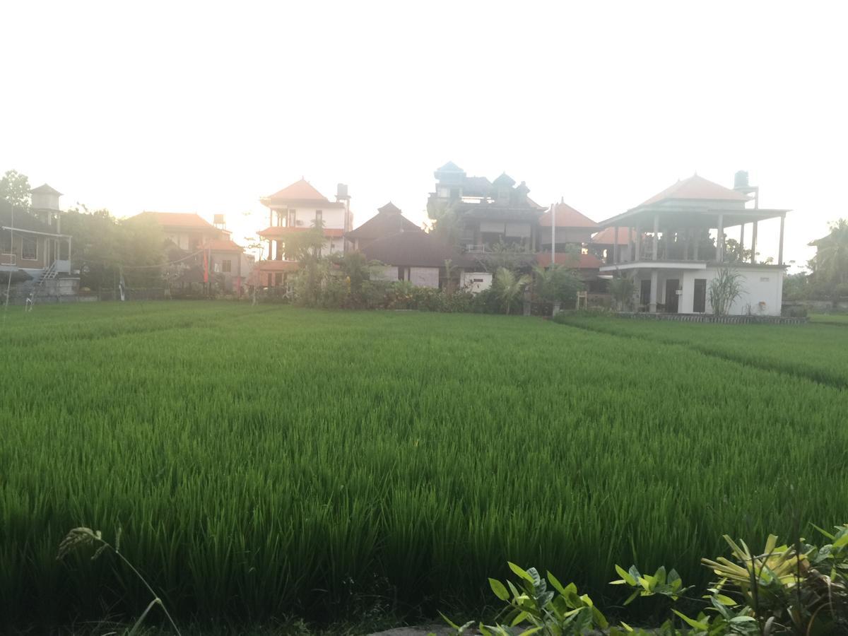 Depong House Apartment Ubud  Ngoại thất bức ảnh
