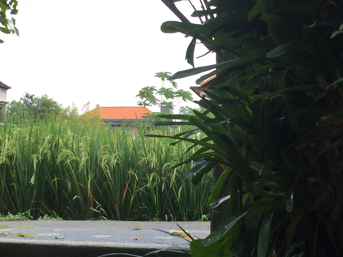 Depong House Apartment Ubud  Ngoại thất bức ảnh